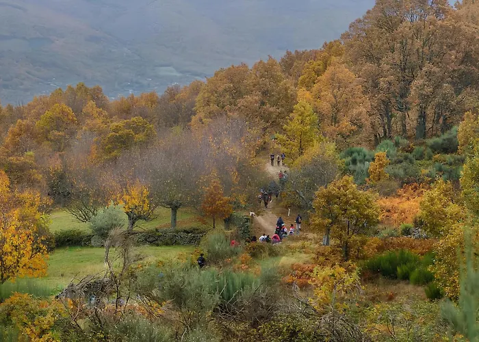 Casa Rural Arbequina, Refugio De Primavera